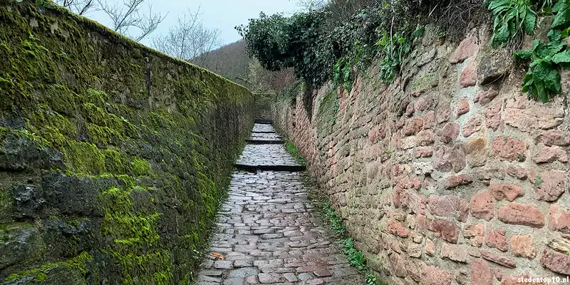 De Schlangenweg Heidelberg width=